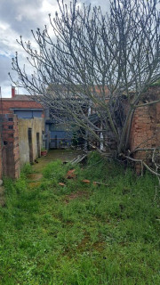 Casa Con Patio Zona Del Paramo