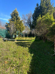 Casa Con Patio Zona Del Paramo